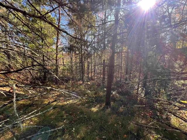 $59,900 | Cole School Road, Pembine, WI 54156