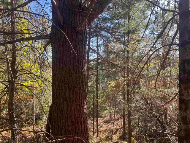 $59,900 | Cole School Road, Pembine, WI 54156