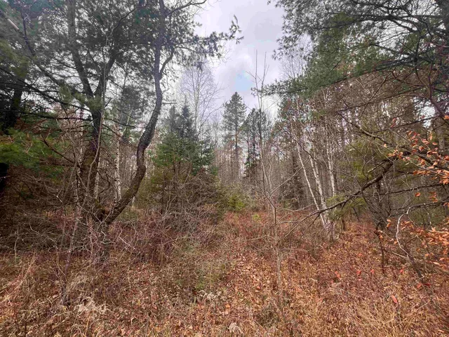 $59,900 | Cole School Road, Pembine, WI 54156