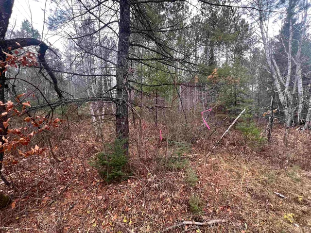 $59,900 | Cole School Road, Pembine, WI 54156