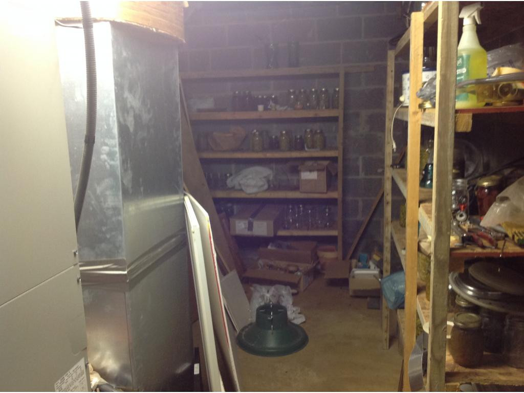 345 Wheelock Road Jonesborough, TN 37659 - Photo 16 of 22 Shelves in basement