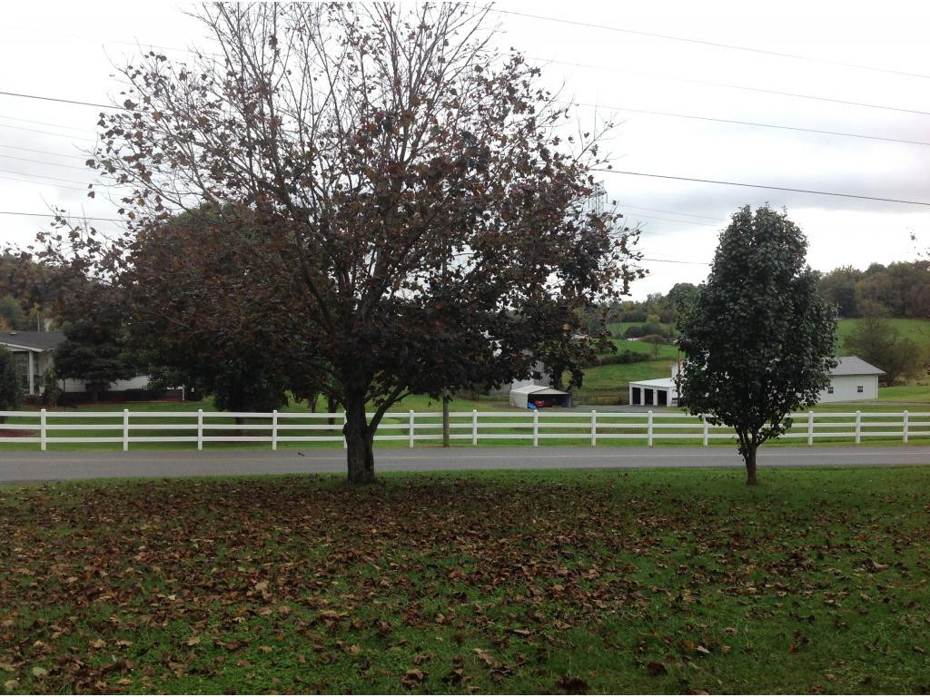345 Wheelock Road Jonesborough, TN 37659 - Photo 3 of 22 looking out from front porch