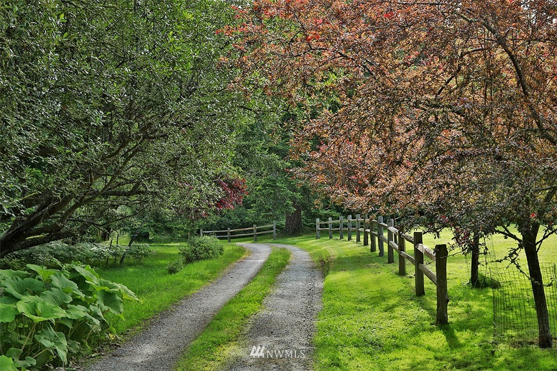 1618 & 1616 Lancaster Road Freeland, WA 98249 - Photo 25 of 40 a view of a park with large trees