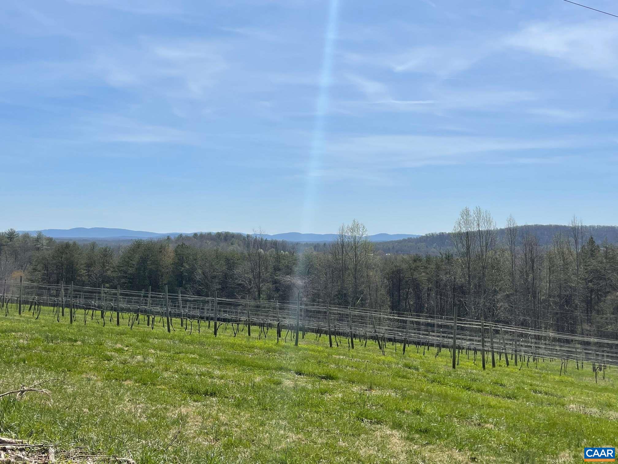 76 Ragland Road Stanardsville, VA 22973 - Photo 27 of 40 Gallery Image 27