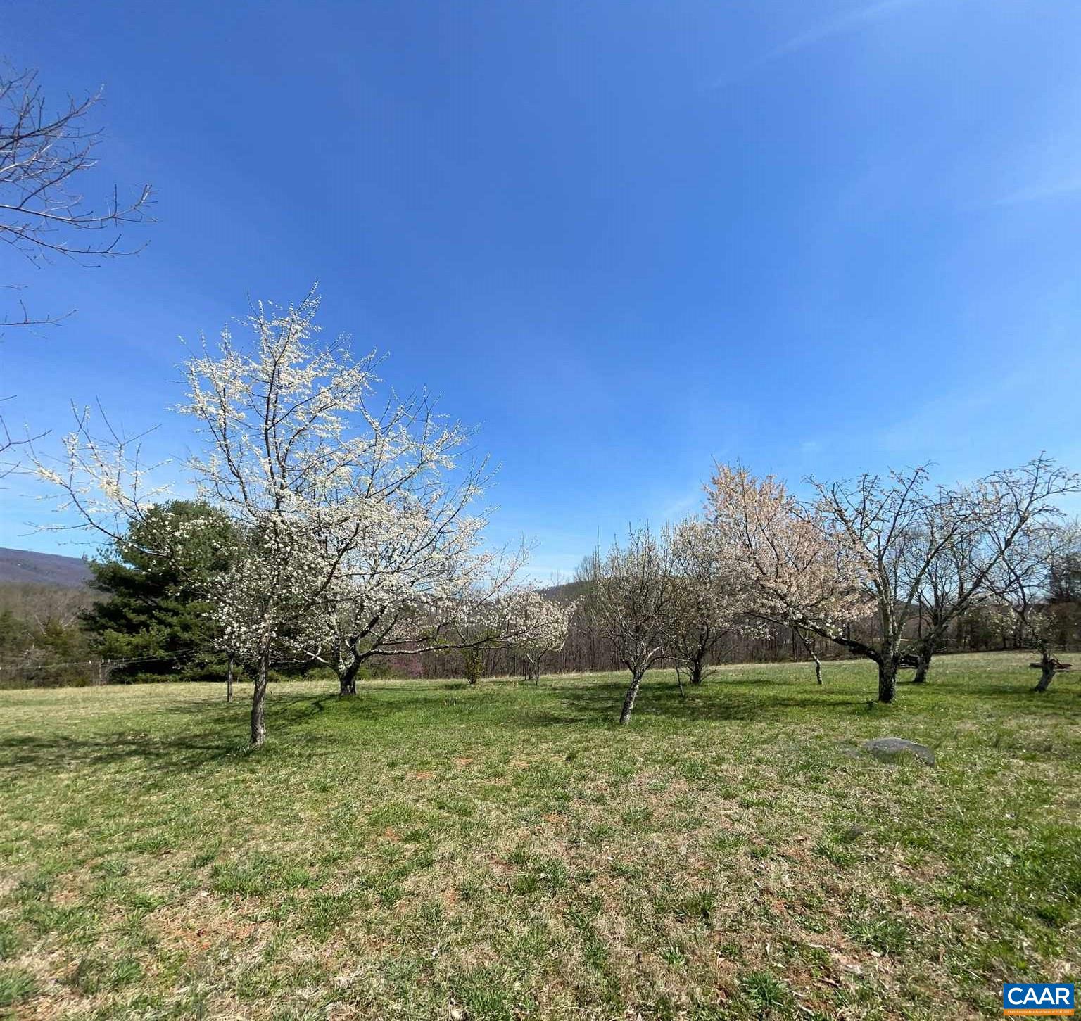 76 Ragland Road Stanardsville, VA 22973 - Photo 5 of 40 Gallery Image 5
