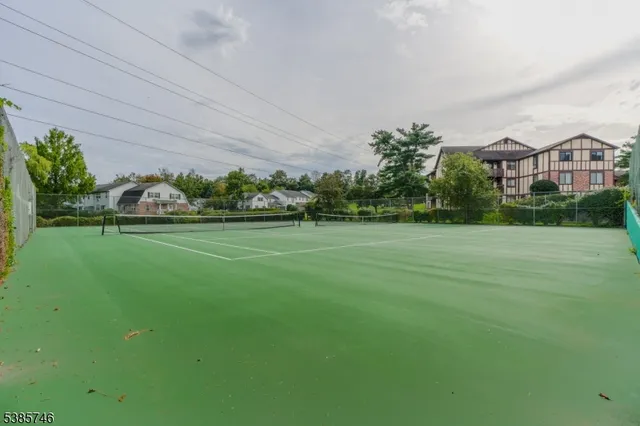 a view of a house with a big yard potted plants and large tree