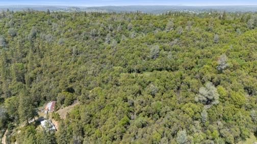 6360 Dean Road Mount Aukum, CA 95656 - Photo 16 of 19 a view of a field with trees in the background