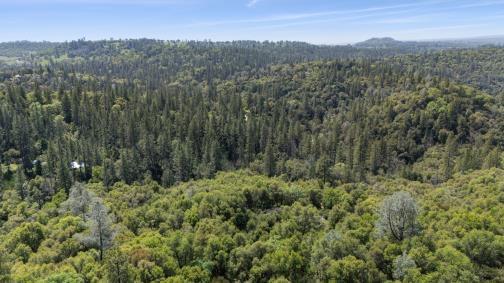 6360 Dean Road Mount Aukum, CA 95656 - Photo 3 of 19 a view of a lush green forest with mountains in the background