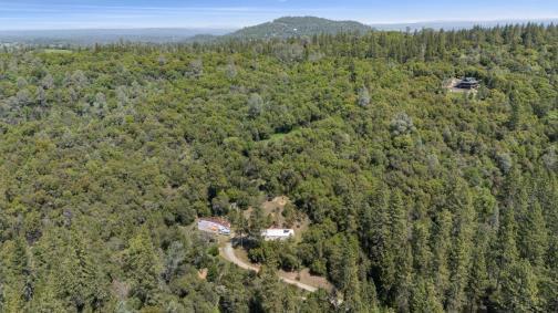 6360 Dean Road Mount Aukum, CA 95656 - Photo 4 of 19 a view of a green field with lots of bushes