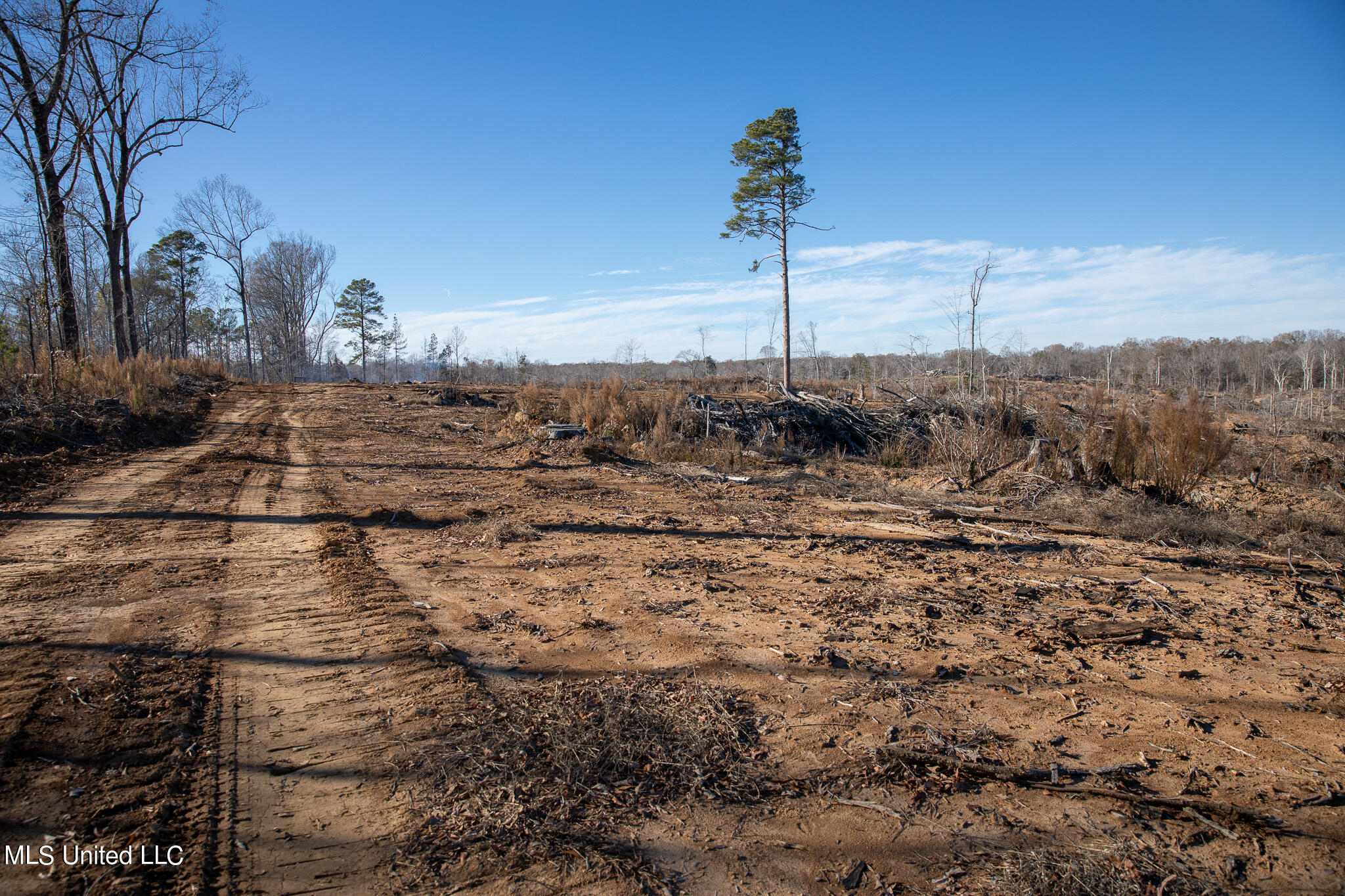 Fox Rd Road Vicksburg, MS 39183 - Photo 2 of 7 C55A4897