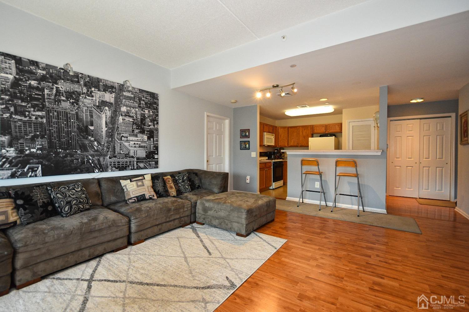 358 Rector Street, Unit 508 Perth Amboy, NJ 08861 - Photo 18 of 30 a living room with furniture and kitchen view