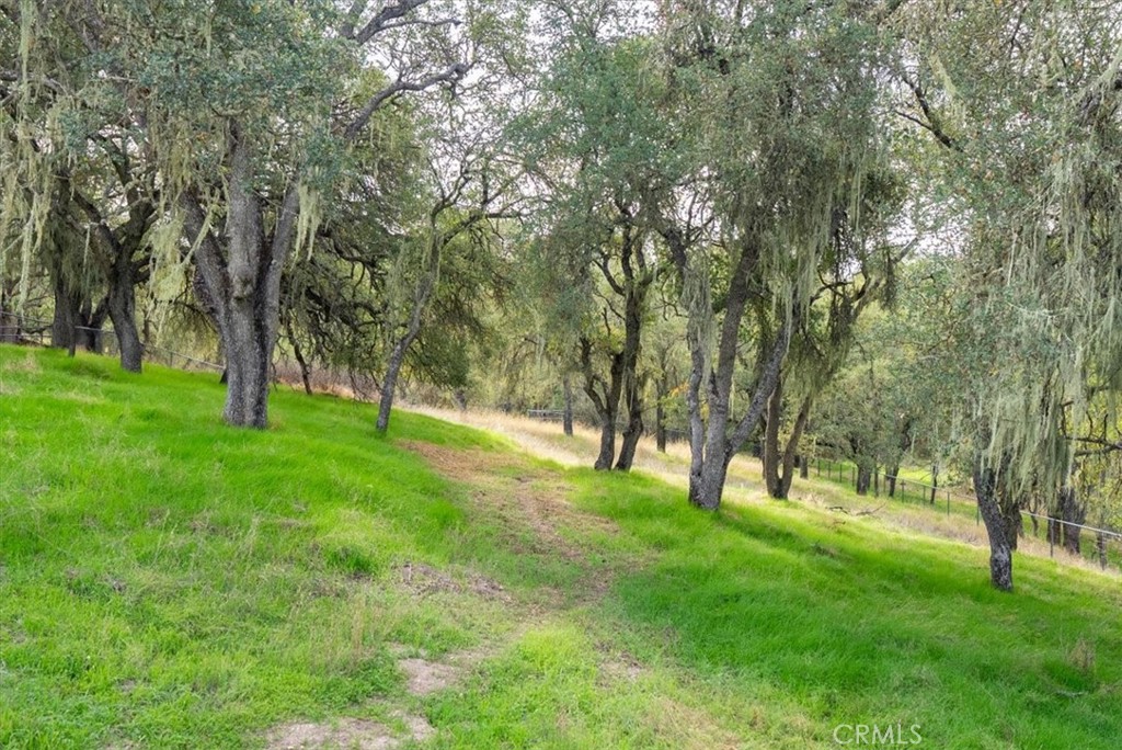 1505 Barley Grain Road Paso Robles, CA 93446 - Photo 40 of 56