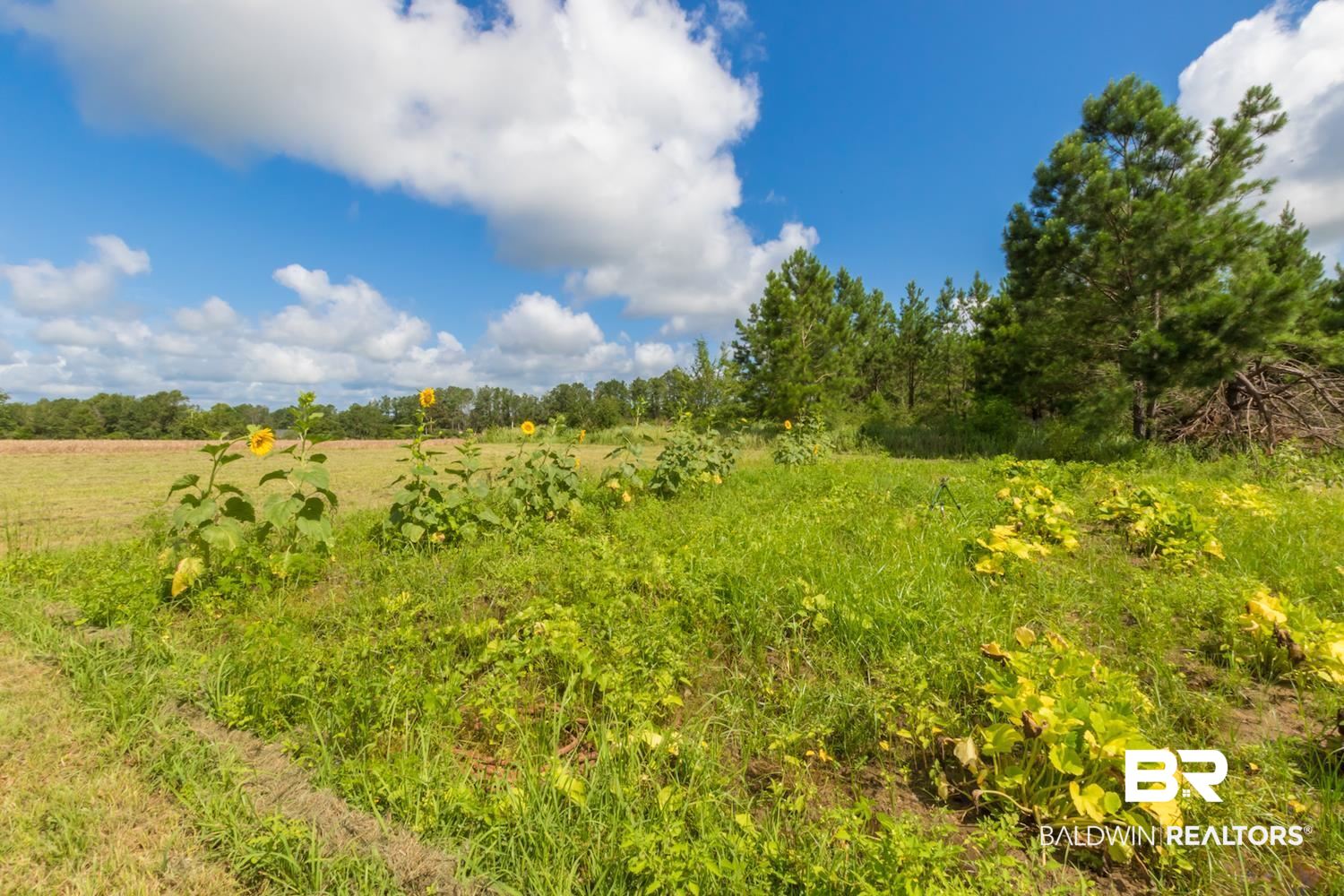 17153 County Road 87 Elberta, AL 36530 - Photo 29 of 35