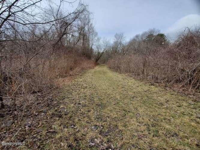 477 Holmes Road Pittsfield, MA 01201 - Photo 33 of 34 Seltzer.33