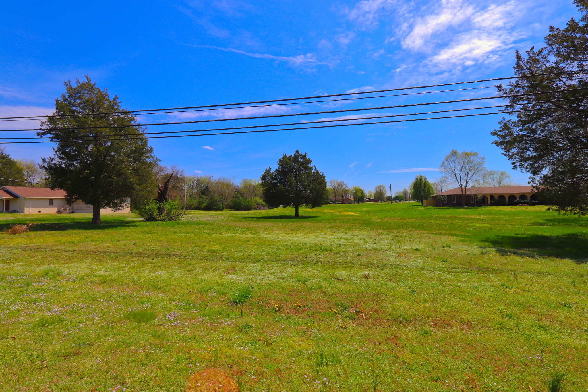0 Leeville Pike Lebanon, TN 37090 - Photo 1 of 9 a view of yard with tree in the background