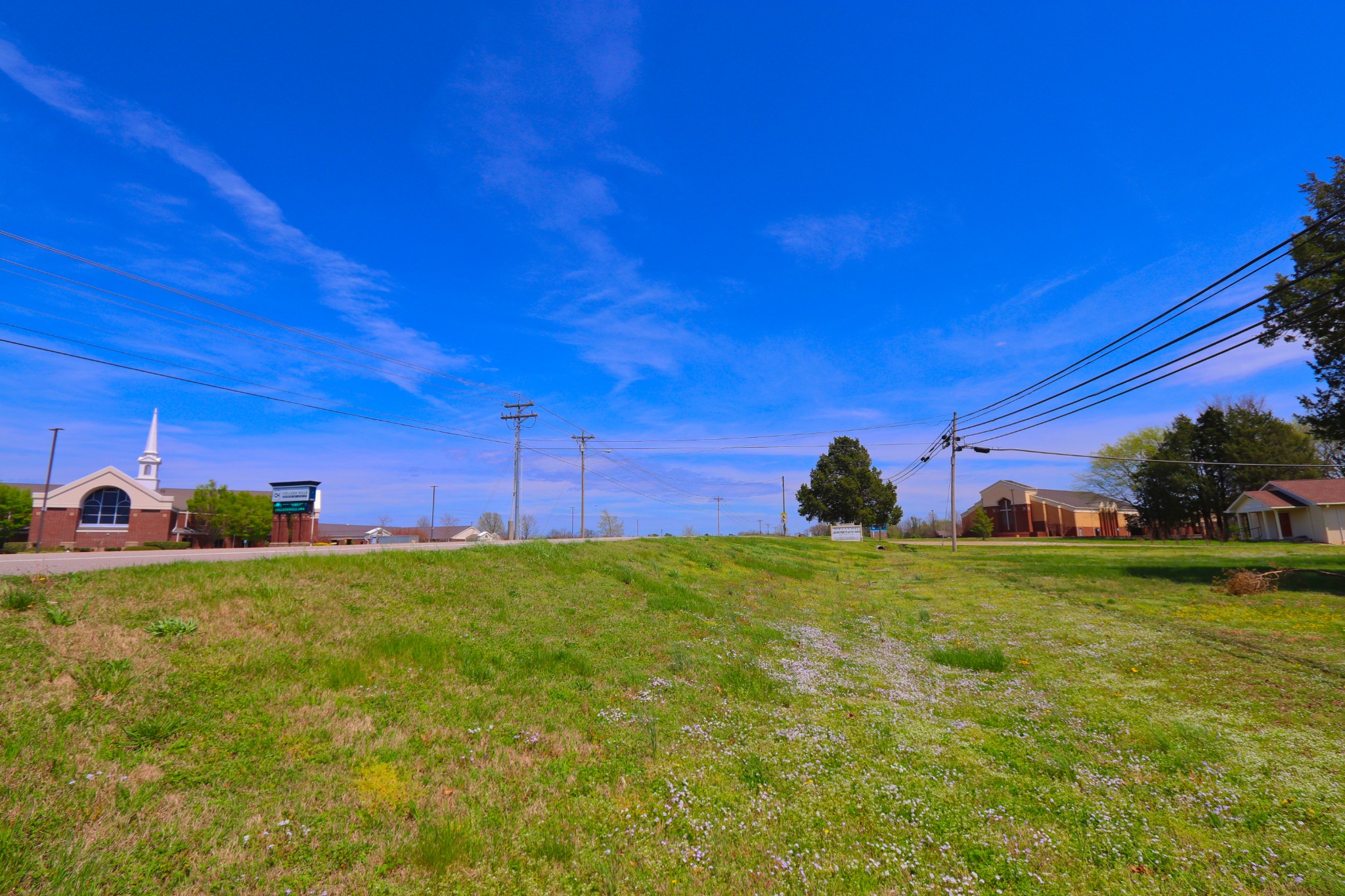 0 Leeville Pike Lebanon, TN 37090 - Photo 2 of 9 a view of a backyard with a garden