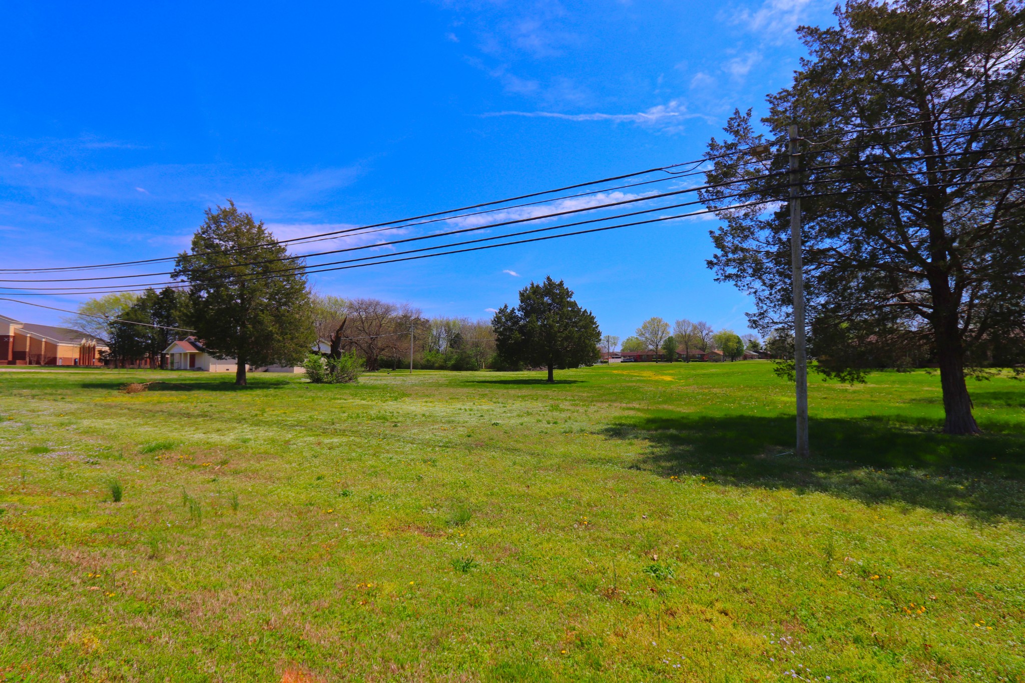 0 Leeville Pike Lebanon, TN 37090 - Photo 8 of 9 a view of a park with large trees