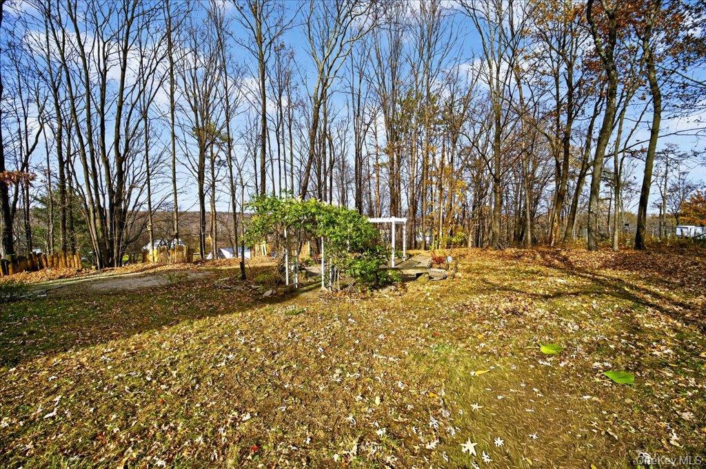 74 Pocatello Road Middletown, NY 10940 - Photo 20 of 21 View of yard