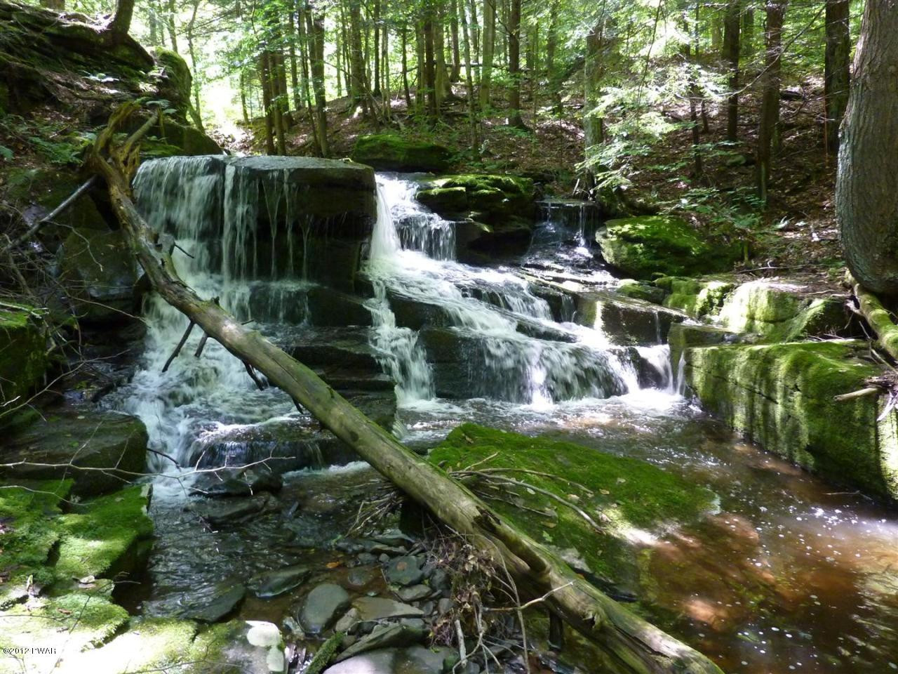 Lot 2 Layton Road Equinunk, PA 18417 - Photo 1 of 17