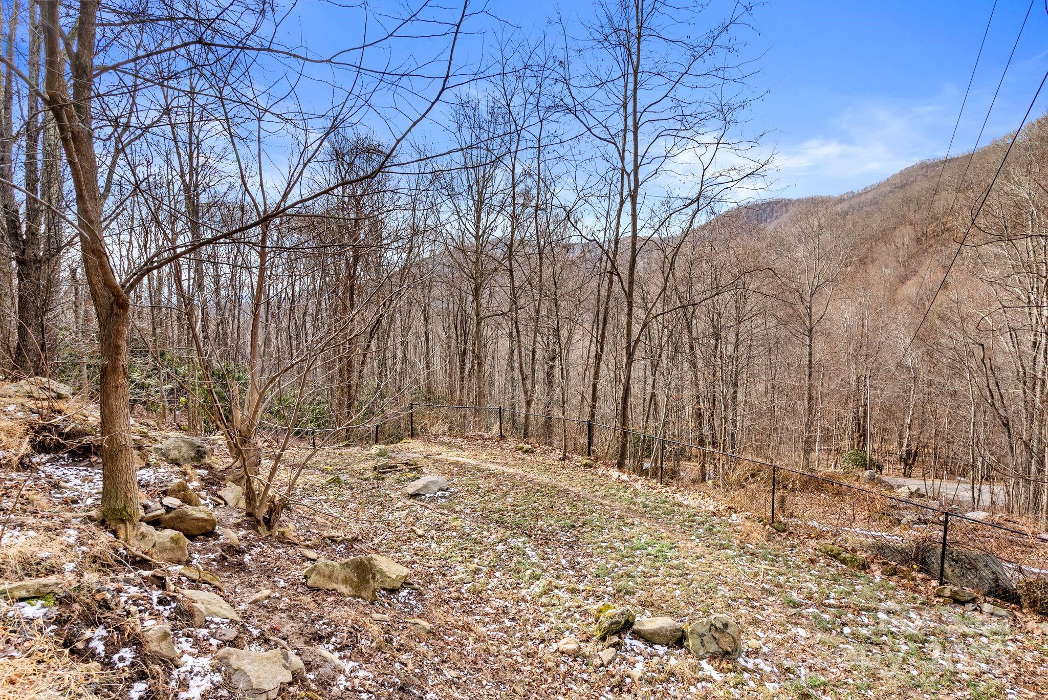 842 Grouse Road Clyde, NC 28721 - Photo 30 of 43