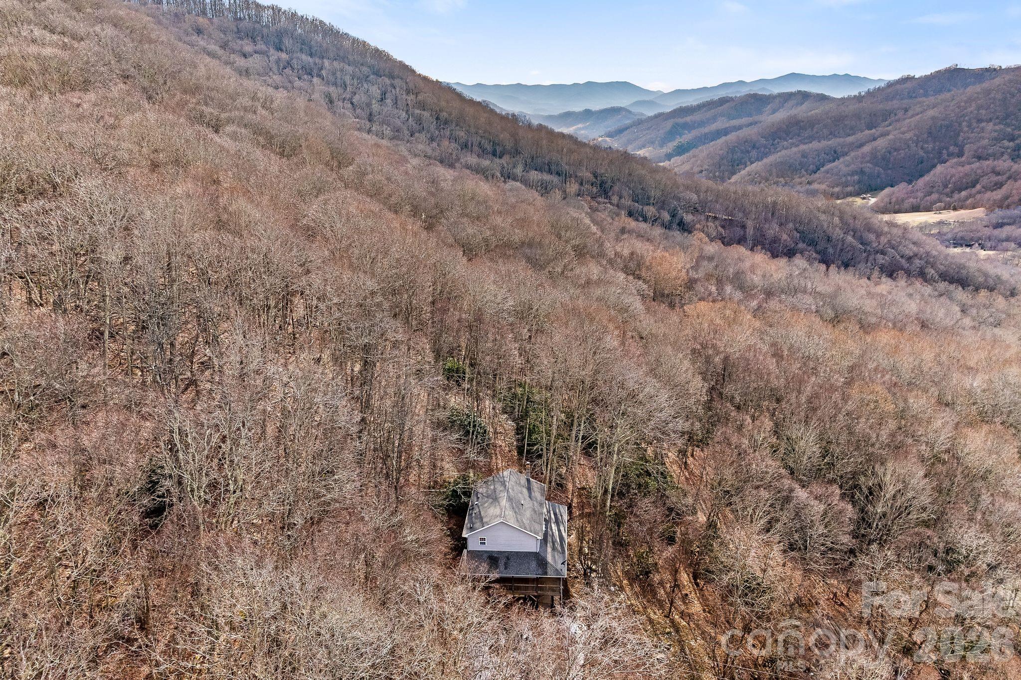 842 Grouse Road Clyde, NC 28721 - Photo 3 of 32