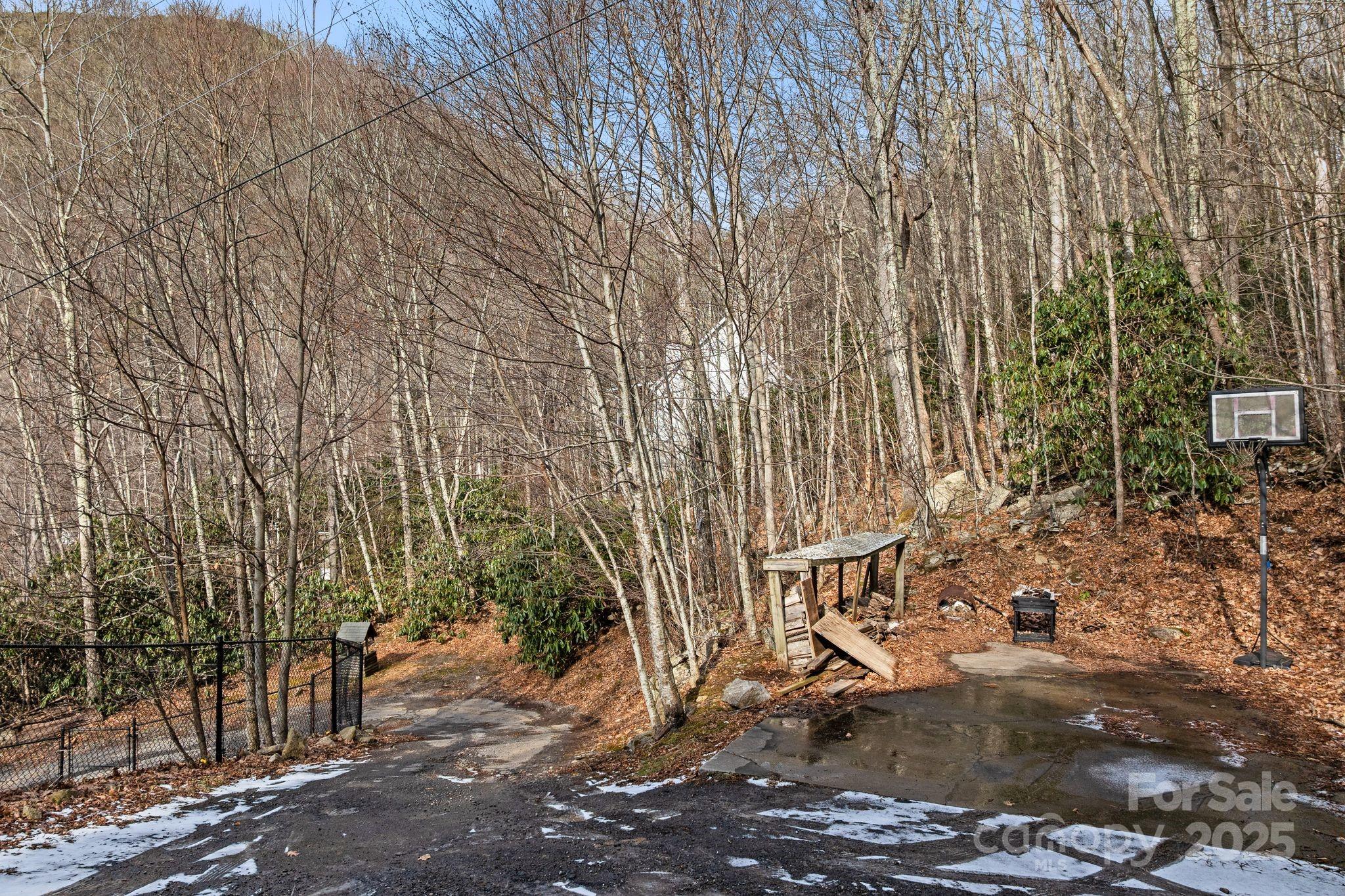 842 Grouse Road Clyde, NC 28721 - Photo 36 of 43