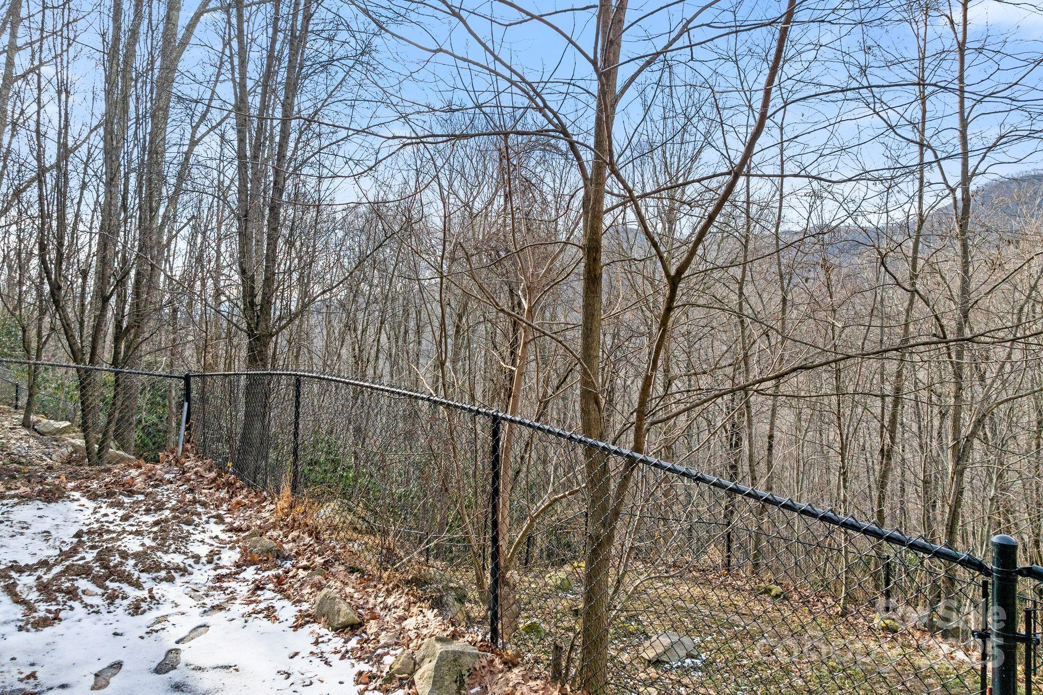 842 Grouse Road Clyde, NC 28721 - Photo 37 of 43