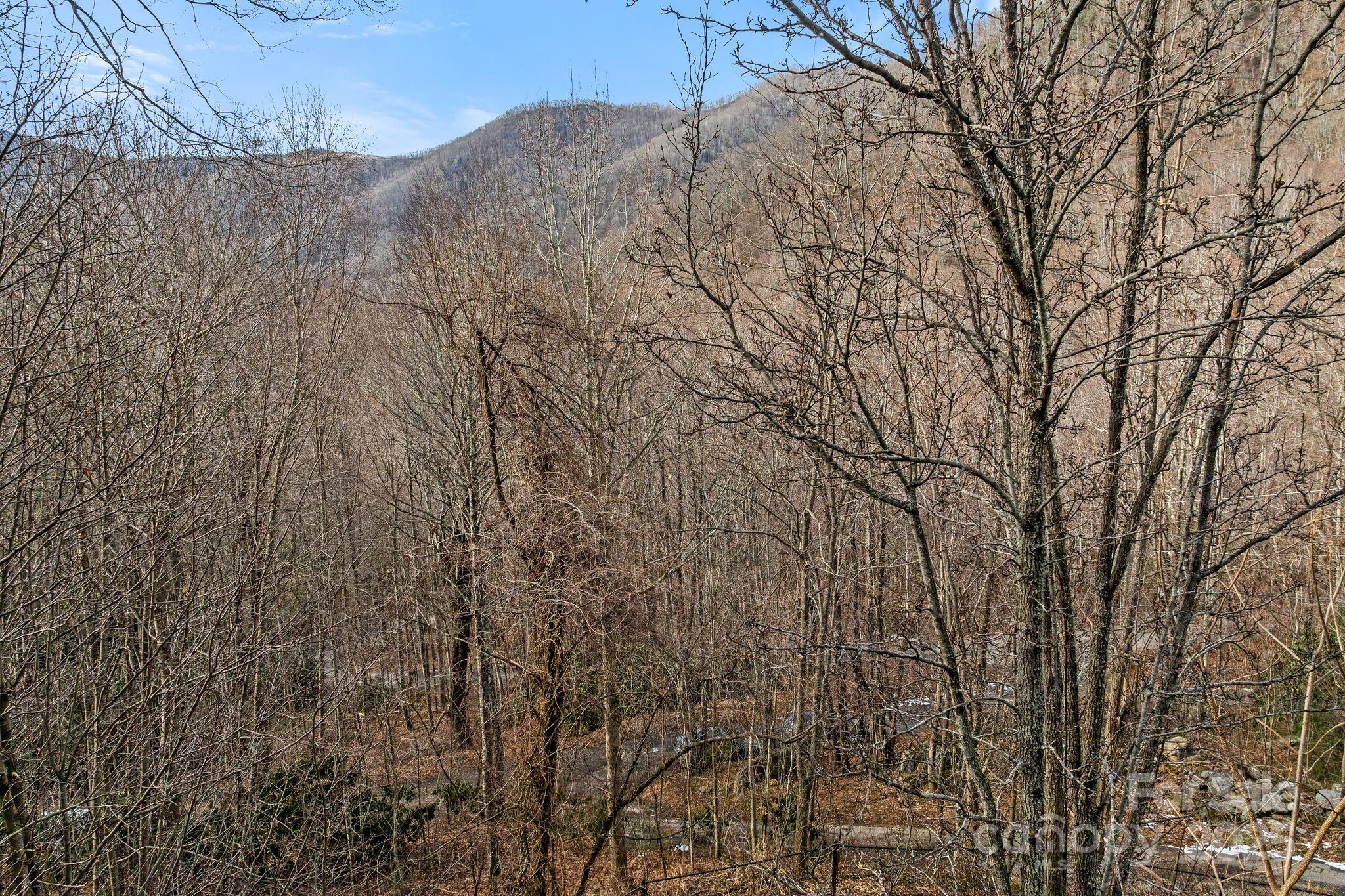 842 Grouse Road Clyde, NC 28721 - Photo 38 of 43