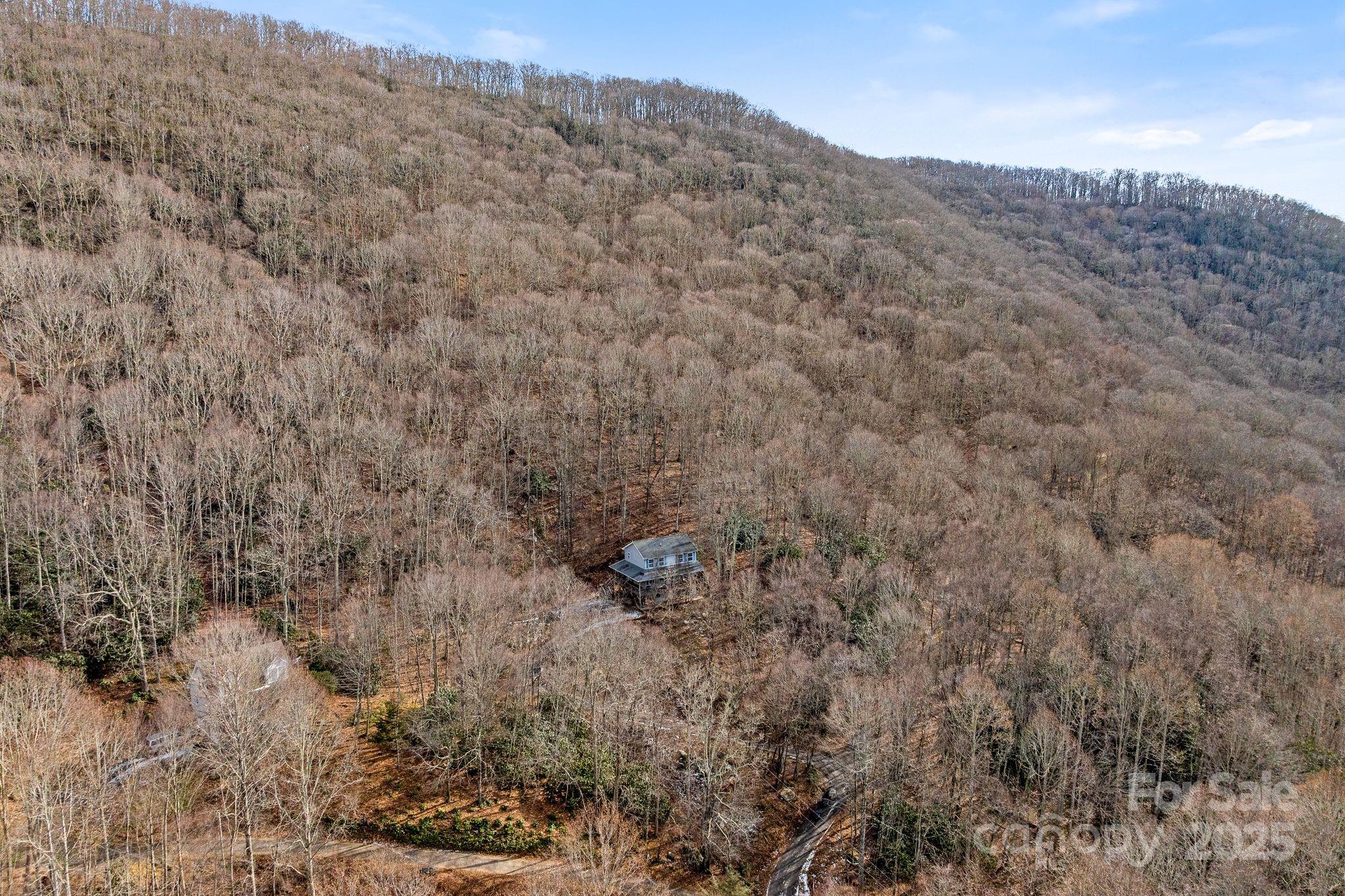 842 Grouse Road Clyde, NC 28721 - Photo 40 of 43