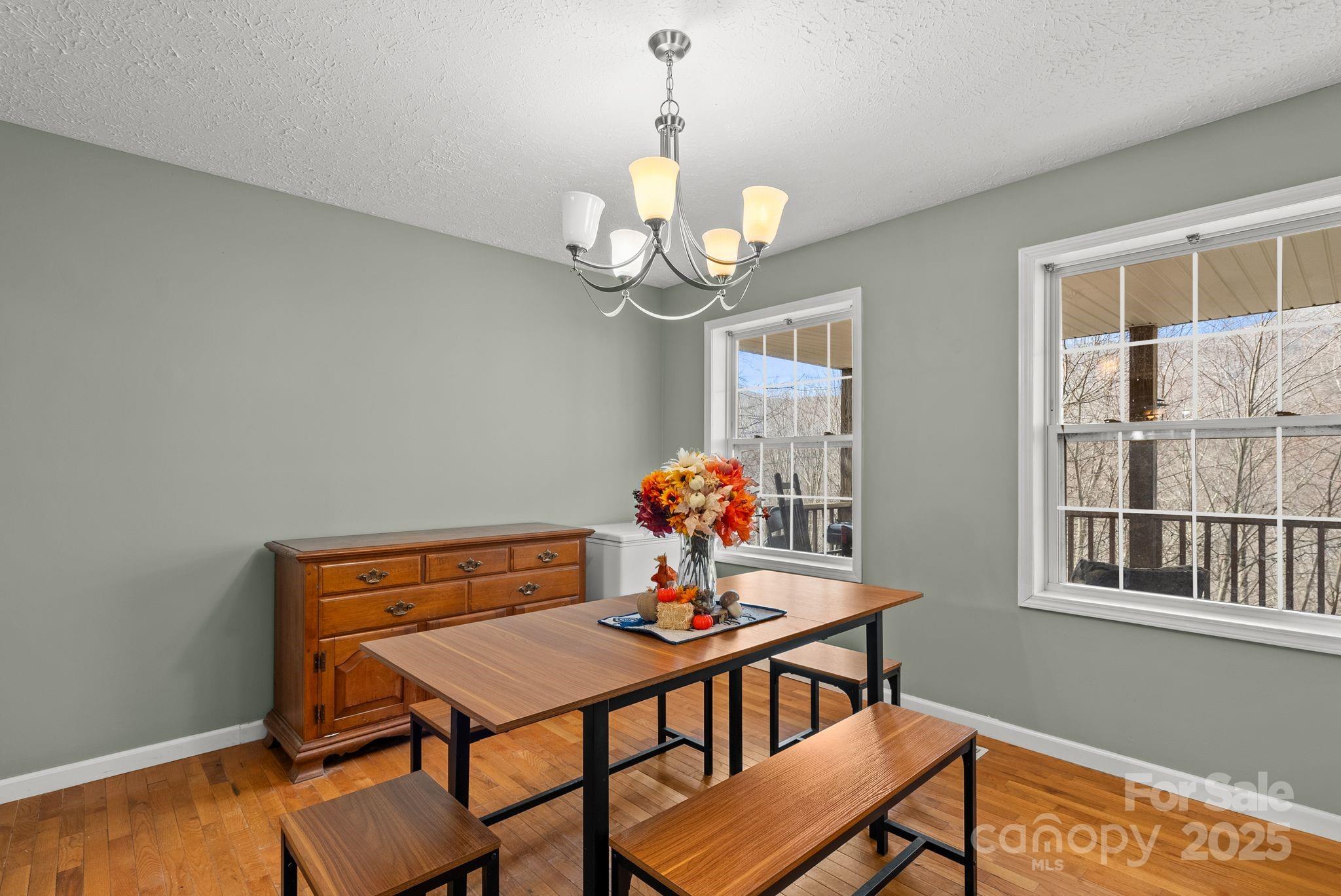 842 Grouse Road Clyde, NC 28721 - Photo 10 of 43