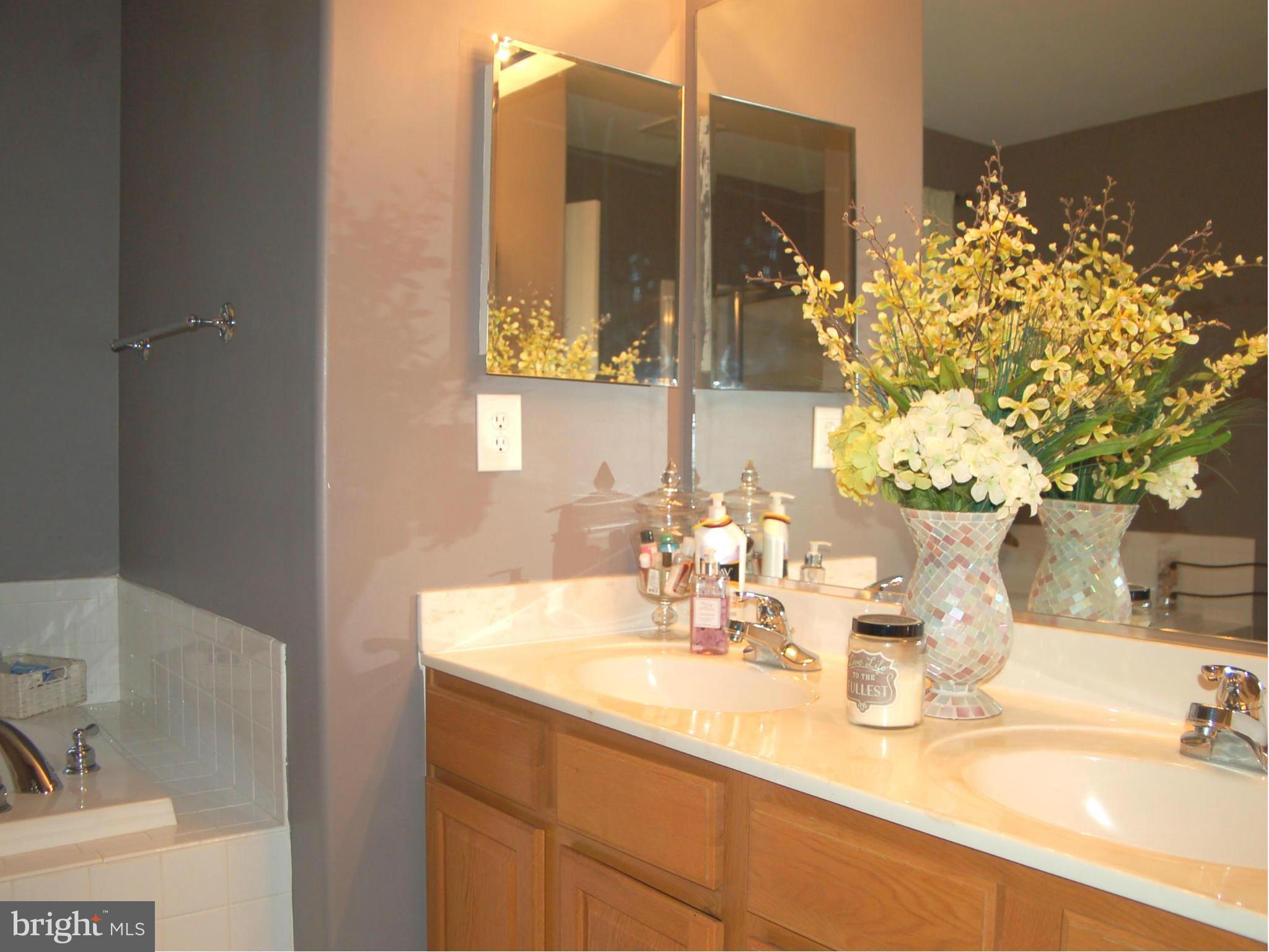 6832 North Stuart Road King George, VA 22485 - Photo 22 of 29 Bath (Master)