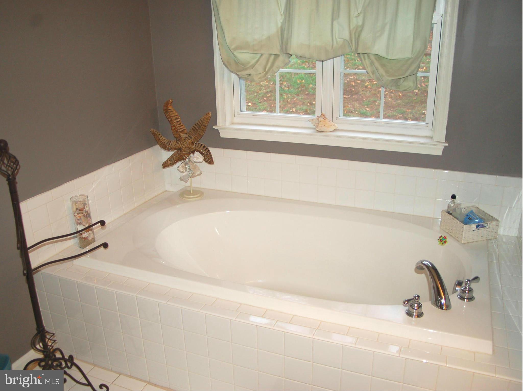 6832 North Stuart Road King George, VA 22485 - Photo 23 of 29 Bath (Master)