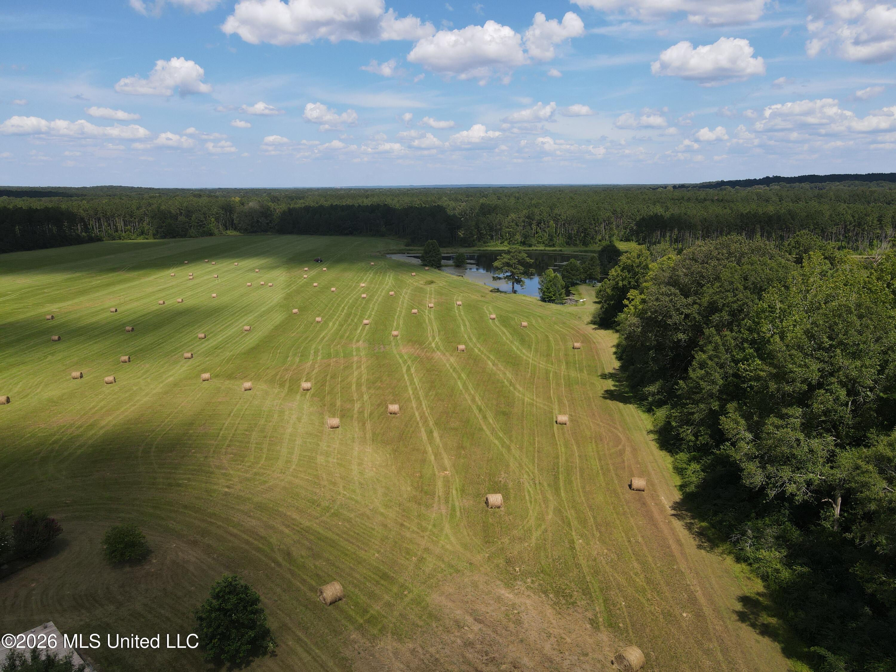 244 Foster Road Sontag, MS 39665 - Photo 119 of 121 38557