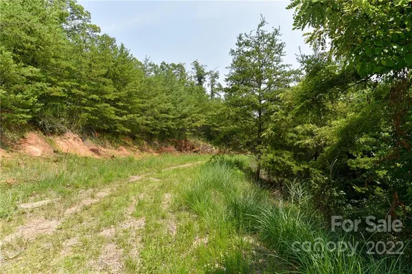$25,000 | Lot 9 The Vines Boulevard, Unit LOT 9, Marshall, NC 28753