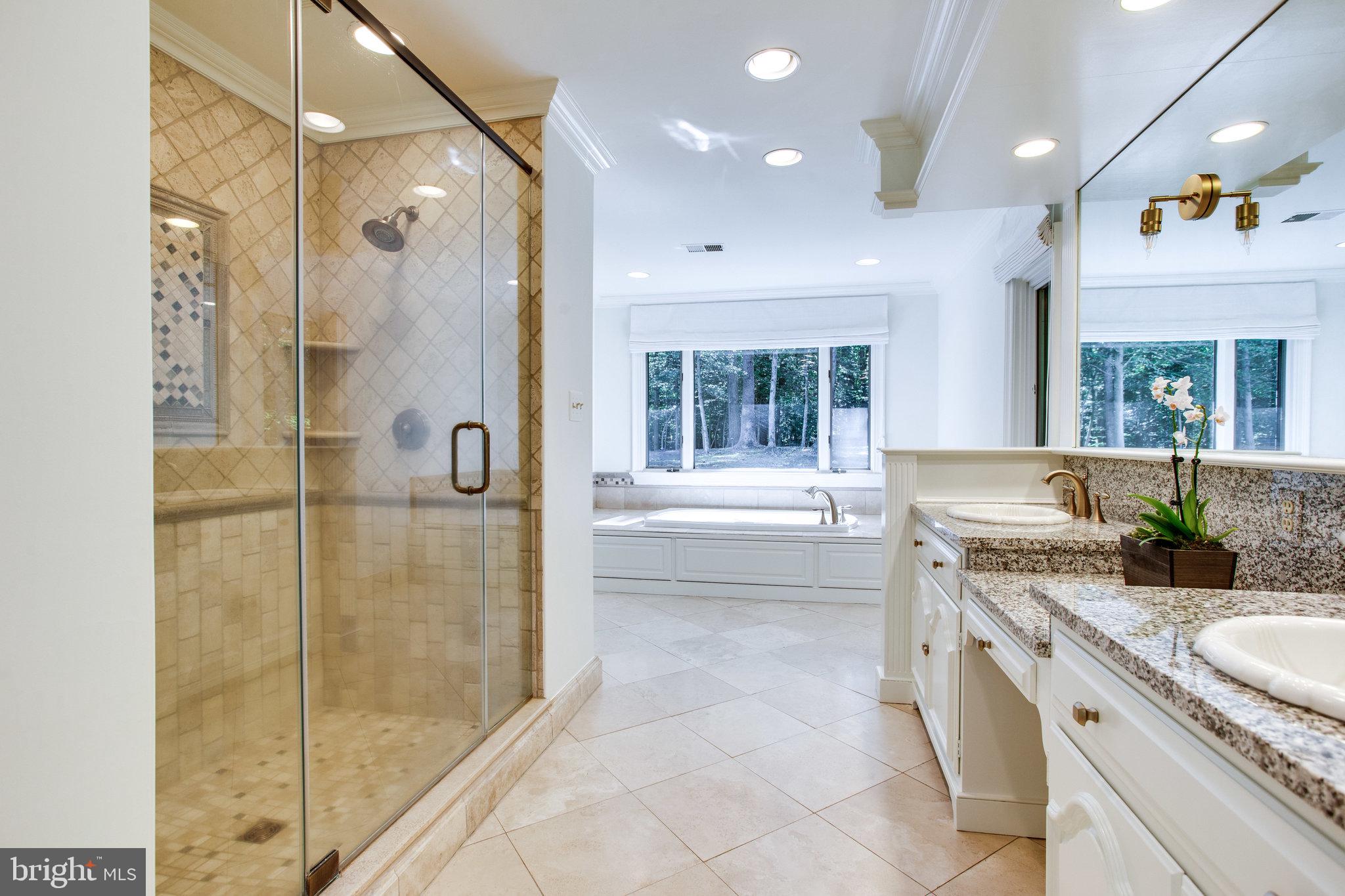 137 Yarnick Road Great Falls, VA 22066 - Photo 21 of 61 Wonderful walk in shower