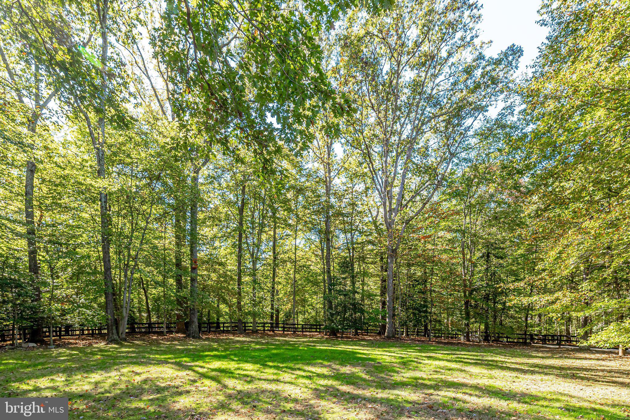 137 Yarnick Road Great Falls, VA 22066 - Photo 58 of 61 Newly fenced yard and mature trees for privacy