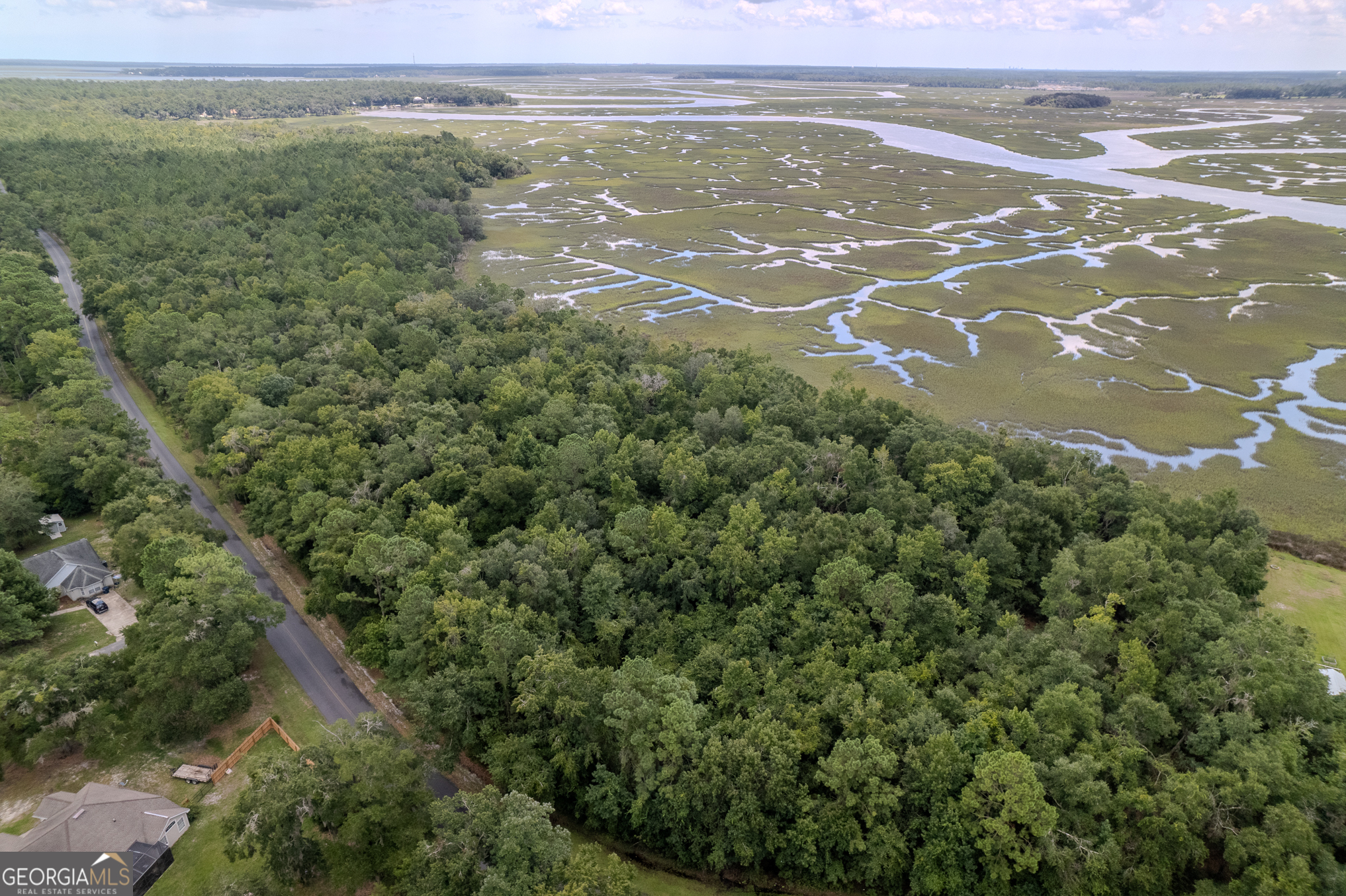 0 Sheffield Island Road, Unit 5 Woodbine, GA 31569 - Photo 3 of 13