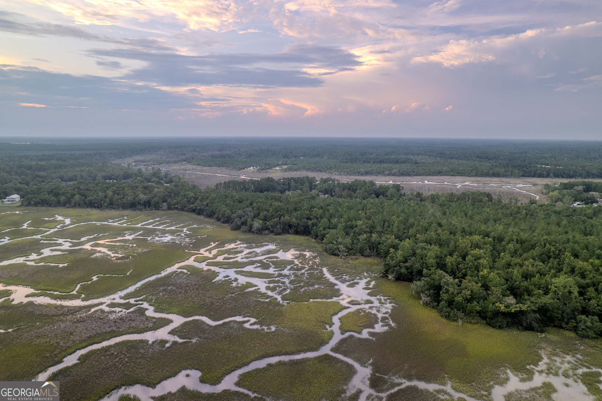 0 Sheffield Island Road, Unit 5 Woodbine, GA 31569 - Photo 8 of 13