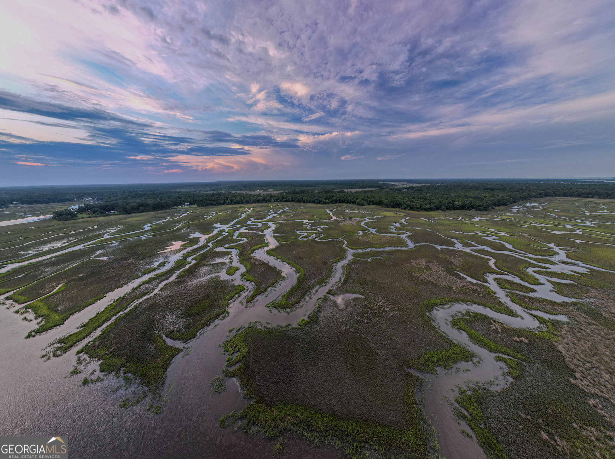 0 Sheffield Island Road, Unit 5 Woodbine, GA 31569 - Photo 10 of 13