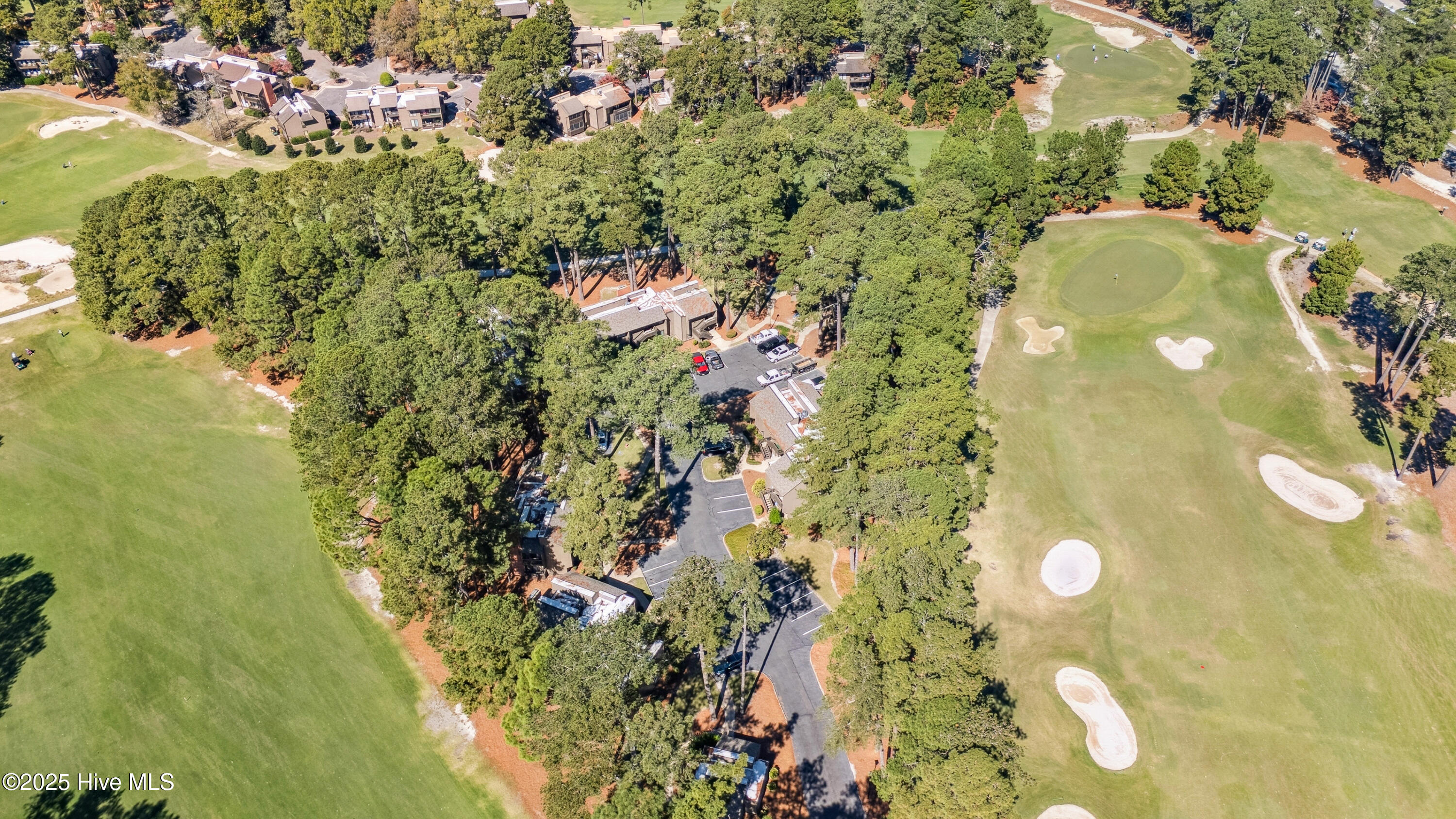 115 Beulah Hill Road South, Unit 111 Pinehurst, NC 28374 - Photo 29 of 33 DJI_20251016125205_0026_D copy
