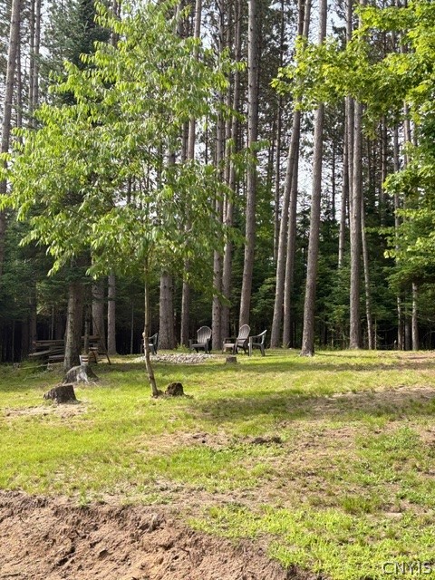 10885 Bellingertown Road Forestport, NY 13338 - Photo 17 of 17