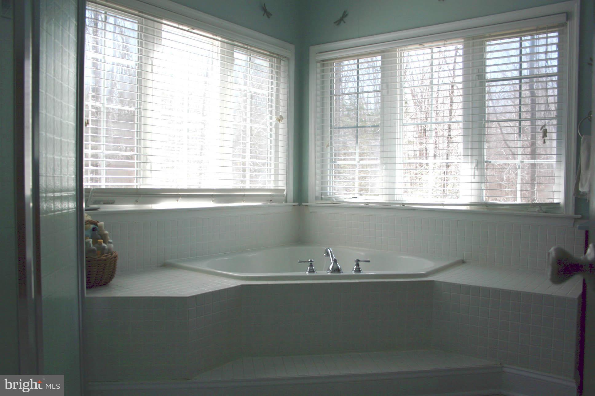 108 Meadows Road Fredericksburg, VA 22406 - Photo 20 of 30 Garden Tub in Master Bathroom