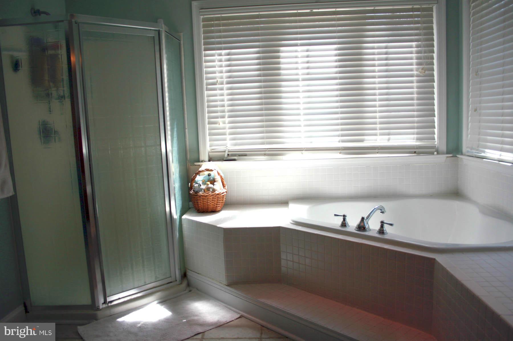 108 Meadows Road Fredericksburg, VA 22406 - Photo 21 of 30 Bath (Master)