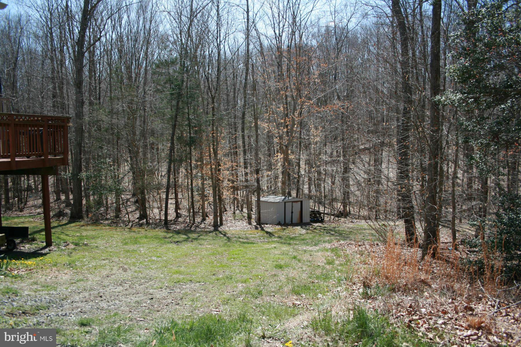 108 Meadows Road Fredericksburg, VA 22406 - Photo 6 of 30 Side yard and Rear Woods with 2nd Shed
