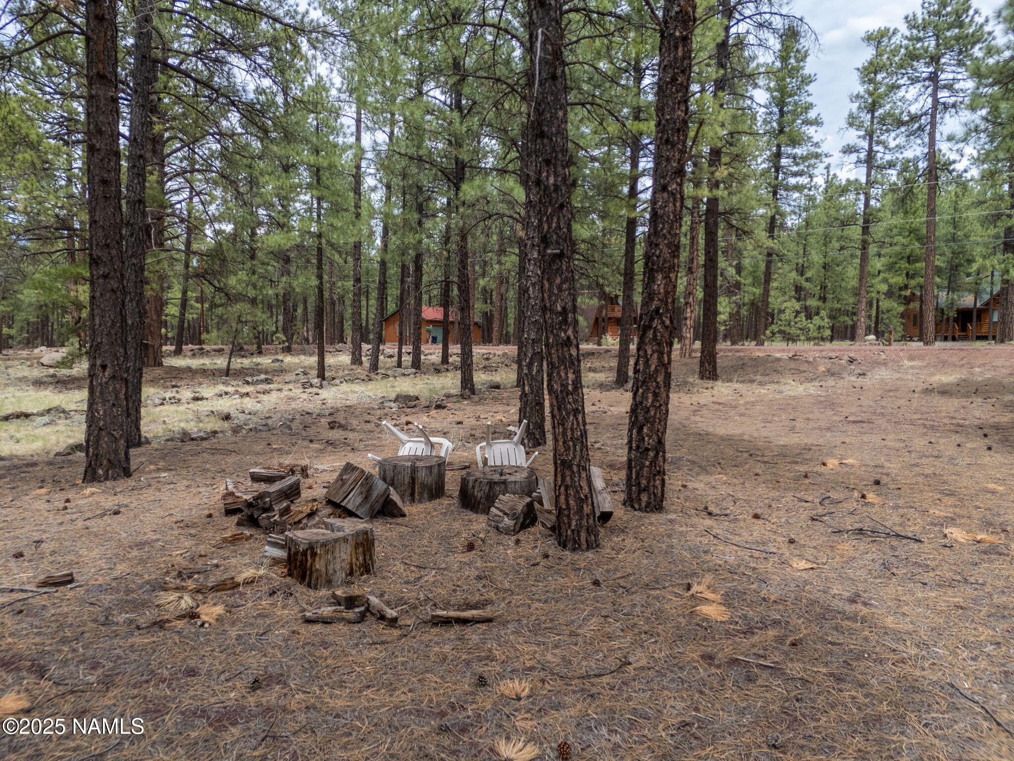 7454 East Robin Hood Road Williams, AZ 86046 - Photo 8 of 20 7-web-or-mls-TimberCreekImagery-6