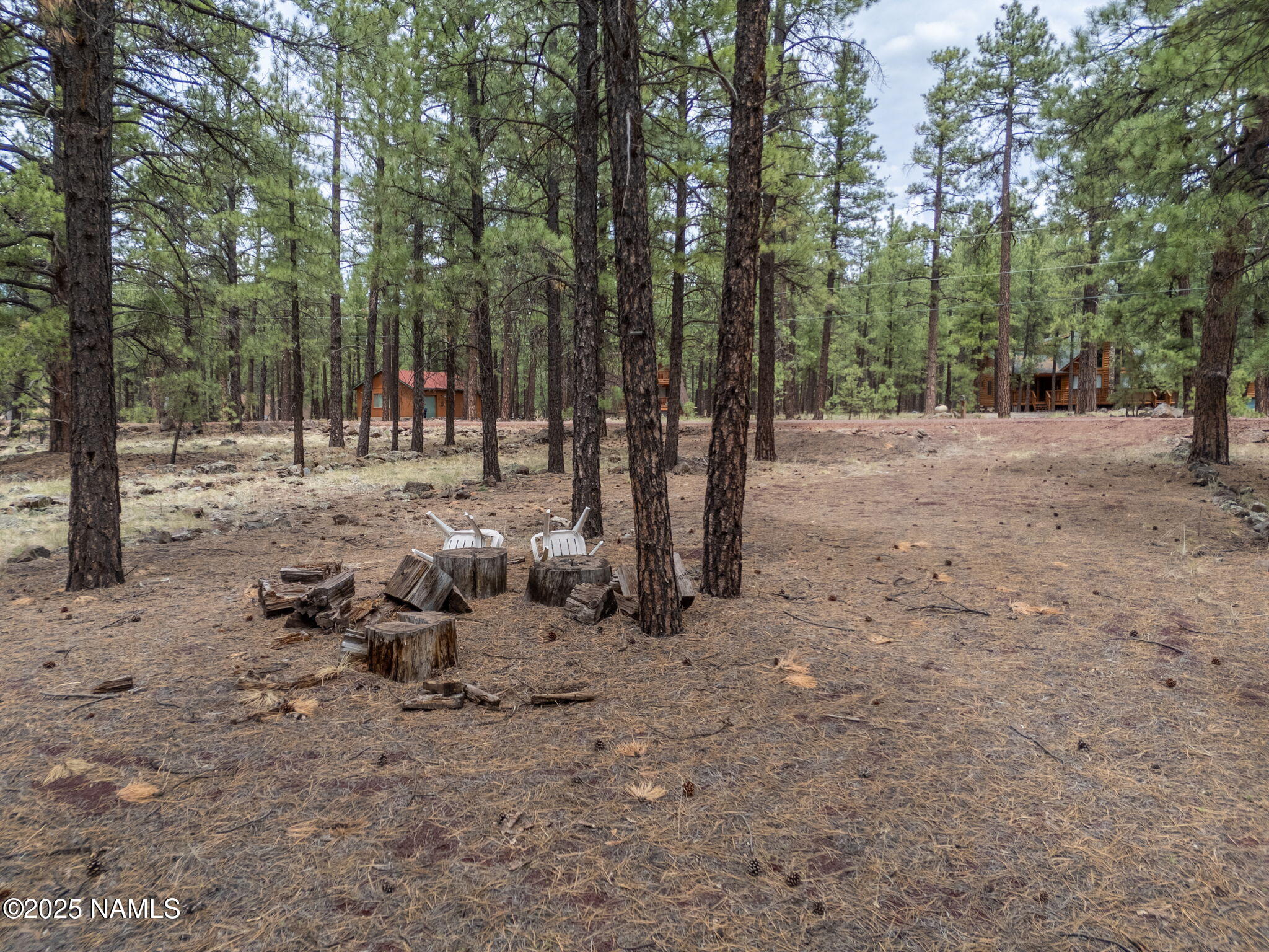 7454 East Robin Hood Road Williams, AZ 86046 - Photo 9 of 20 8-web-or-mls-TimberCreekImagery-7