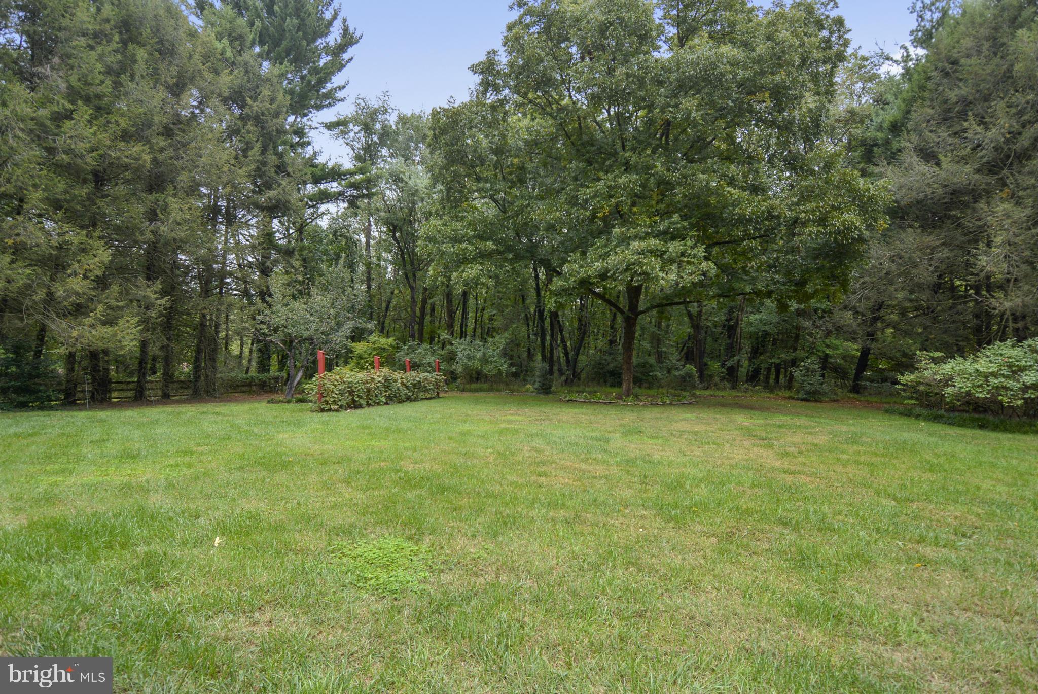 2138 Apple Tree Lane Silver Spring, MD 20905 - Photo 19 of 30 a backyard of a house with trees