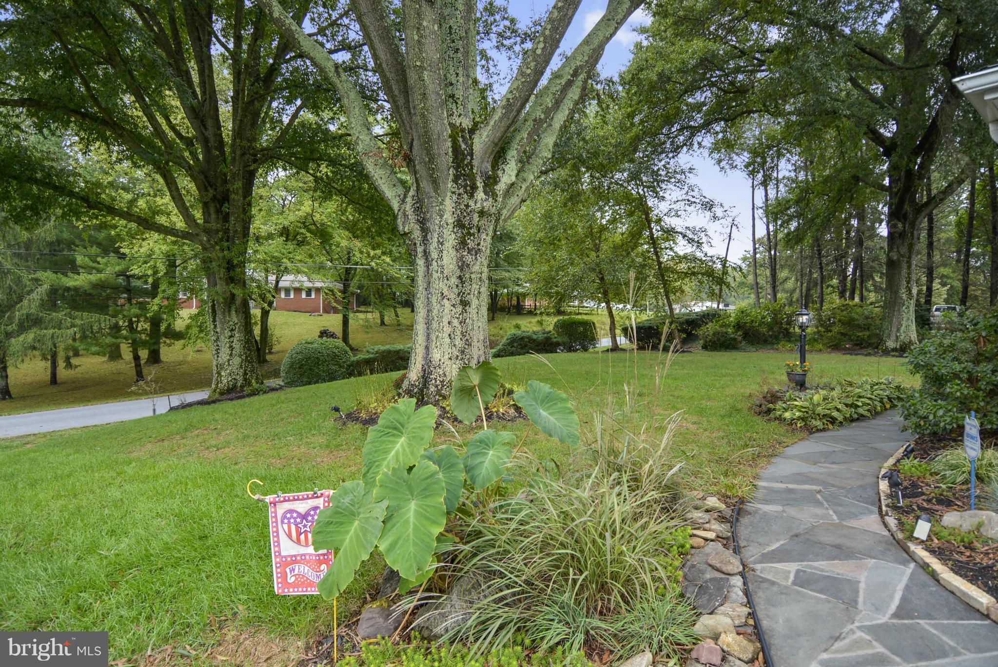 2138 Apple Tree Lane Silver Spring, MD 20905 - Photo 21 of 30 a view of a park with large trees
