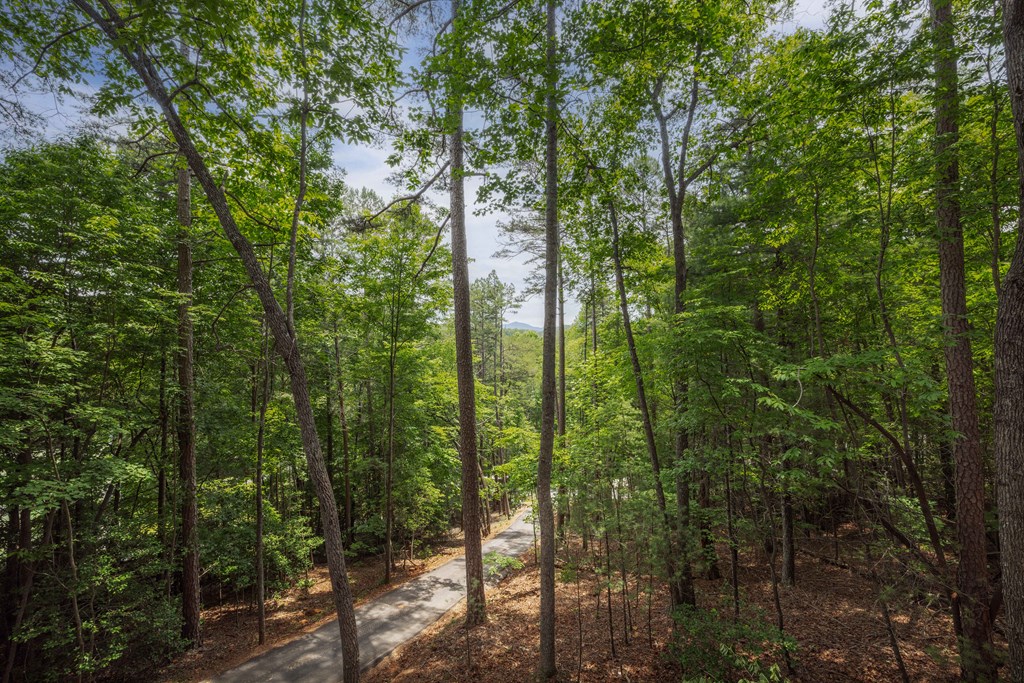 190 Laurel Crossing Blue Ridge, GA 30513 - Photo 5 of 30