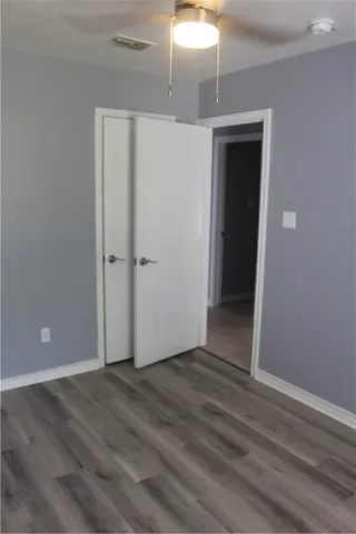 a view of a plant in a garden